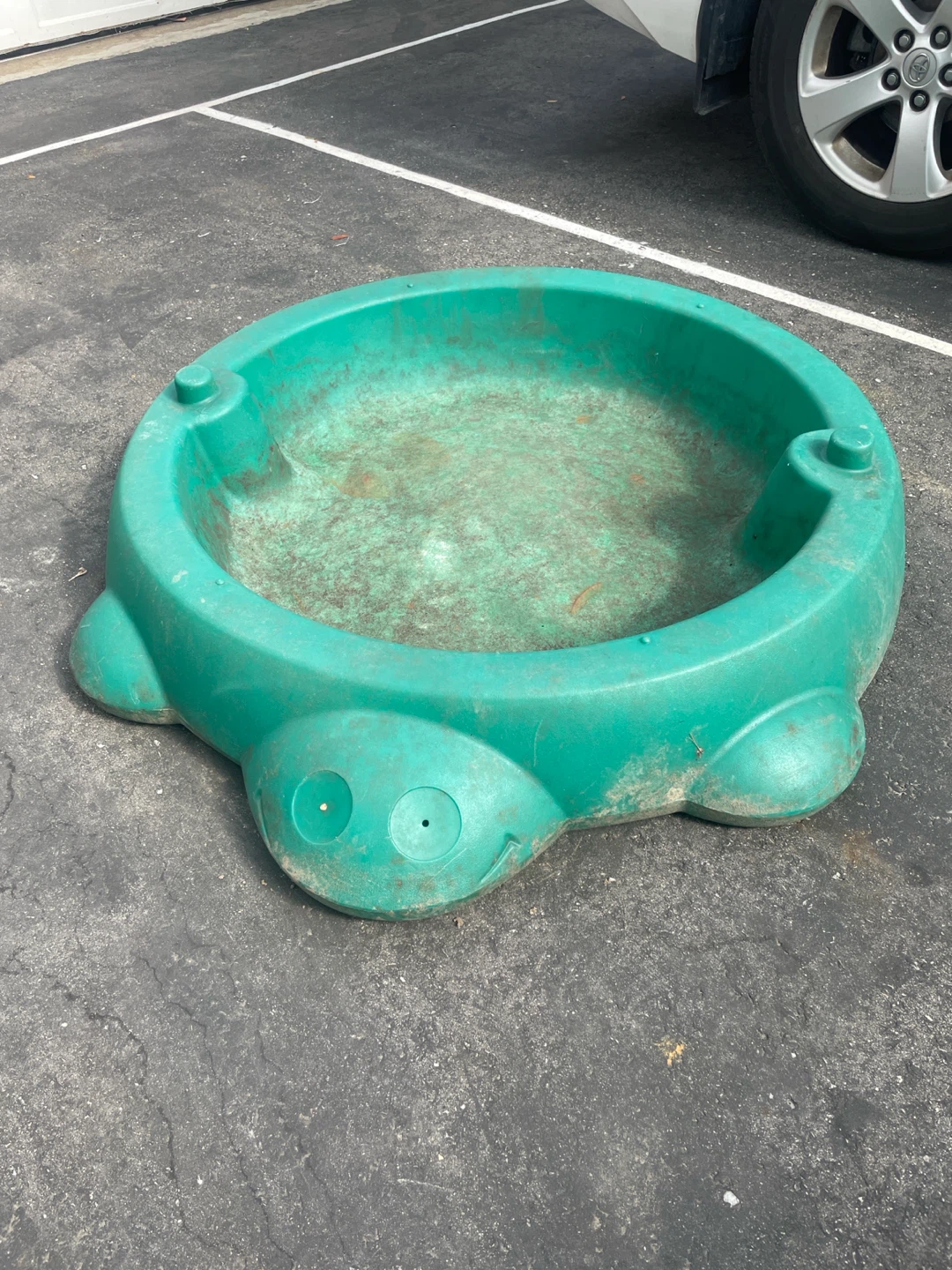 Green Turtle Sandbox/Water Table