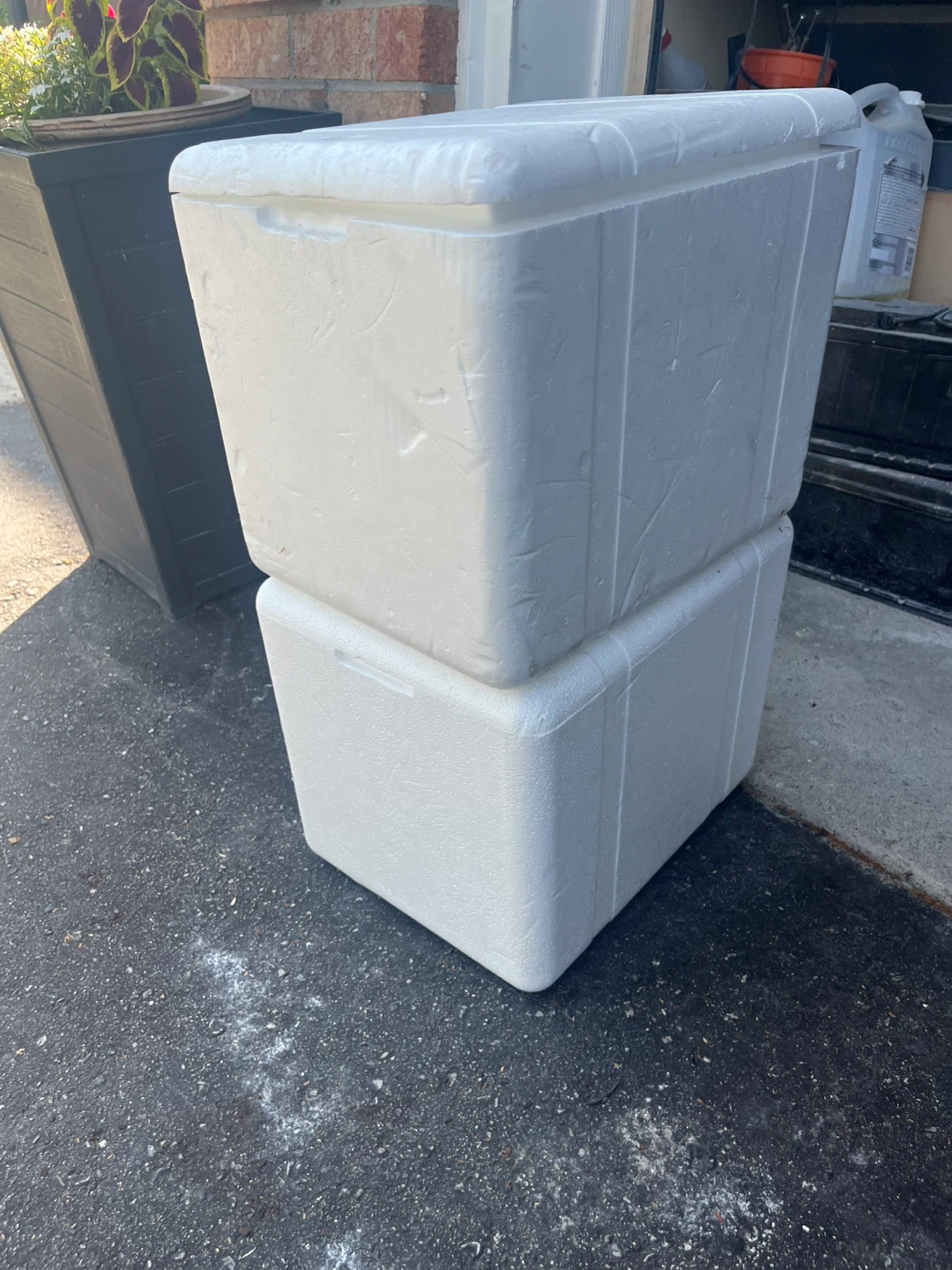 Styrofoam Coolers W Gel Ice Packs