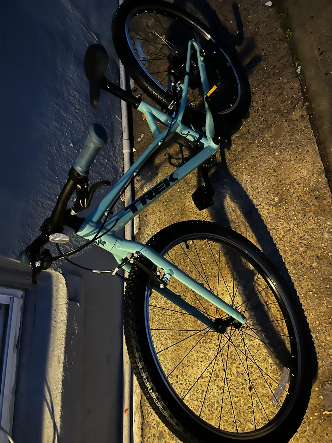 Trek Wahoo Kids Mountain Bike - Teal