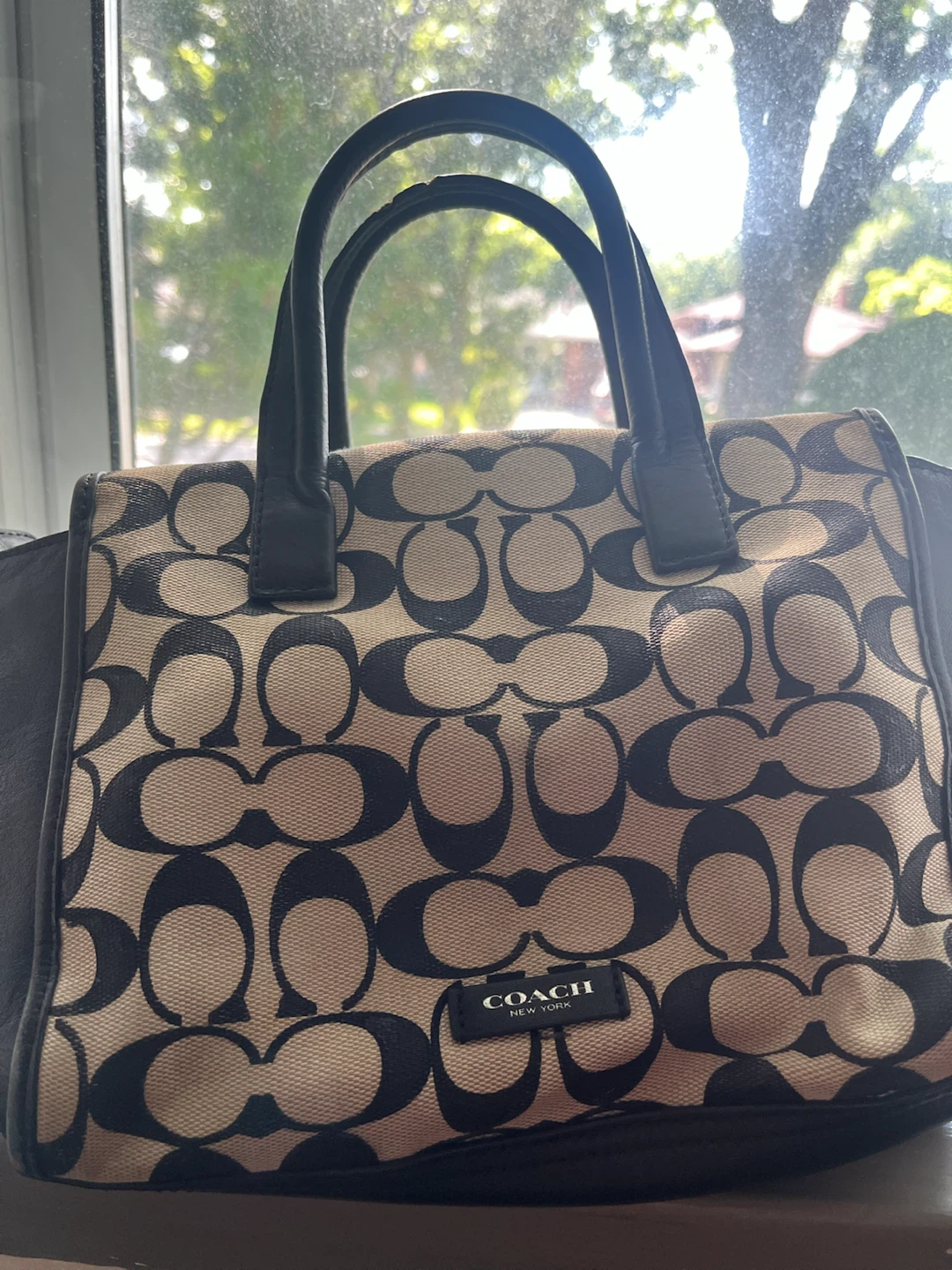 Coach Signature C Monogram small handbag