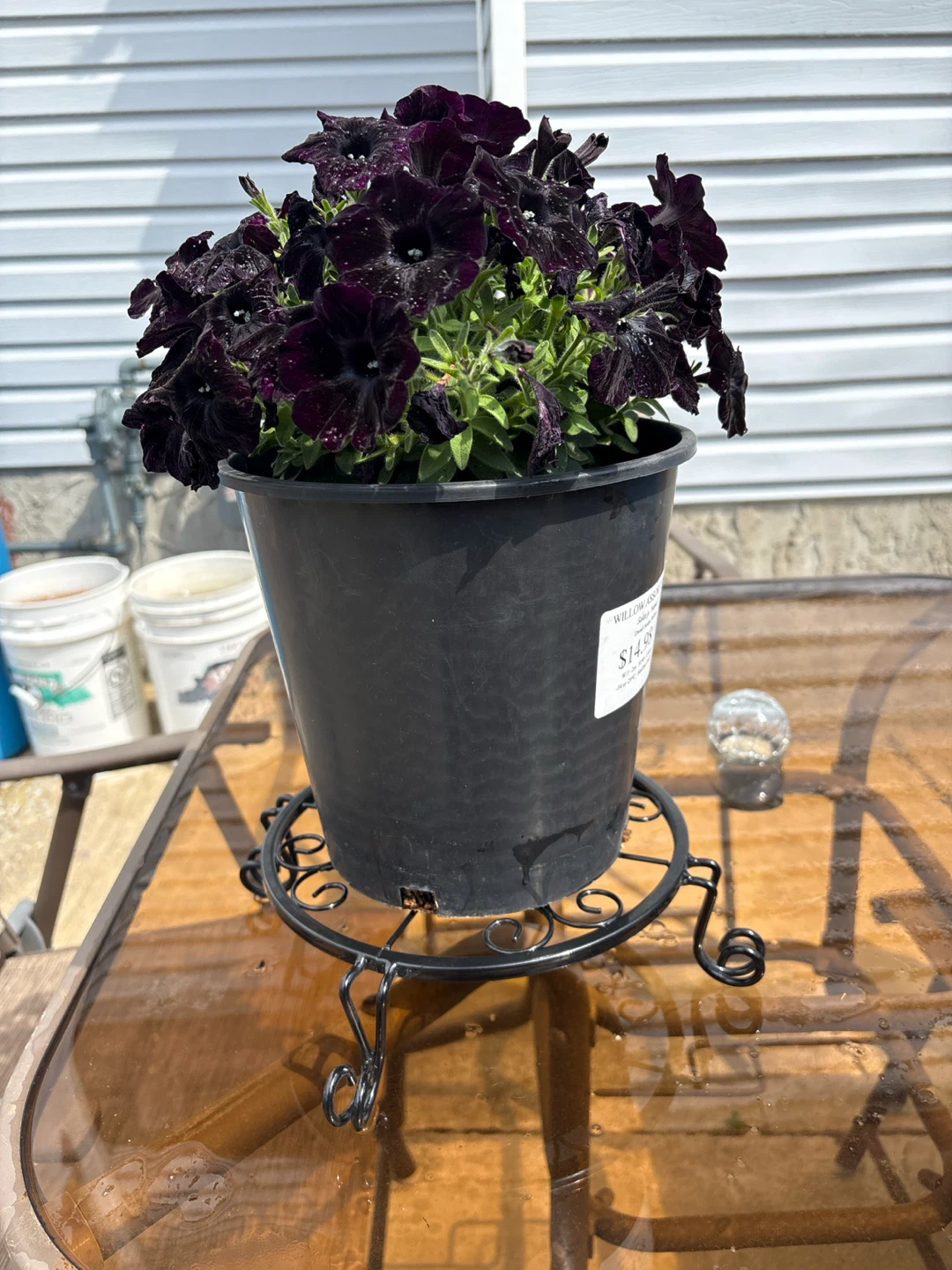 Black Metal Decorative Plant Stand - photo 3