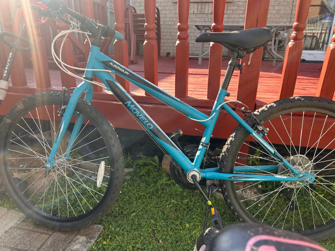 Movelo Algonquin Women's Bicycle