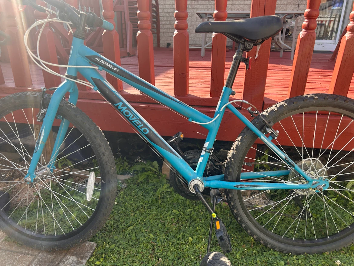 Movelo Algonquin Women's Bicycle - photo 2