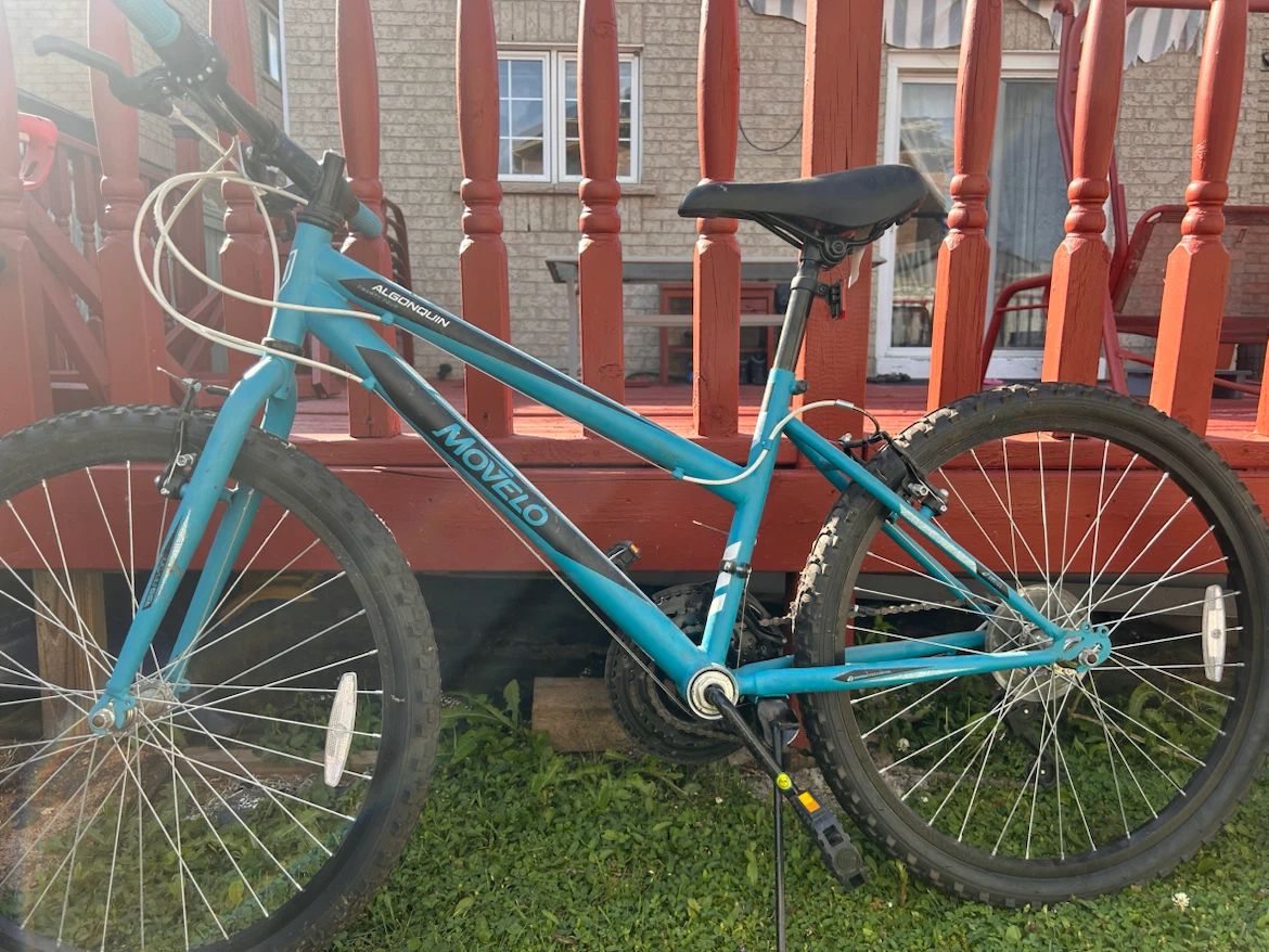 Movelo Algonquin Women's Bicycle - photo 3