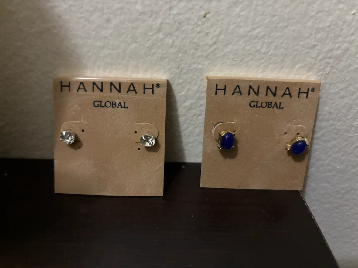 NEW- Lot 2-Hannah Global Earrings Set