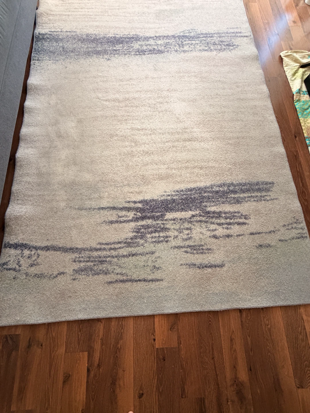 Area Rug - photo 2