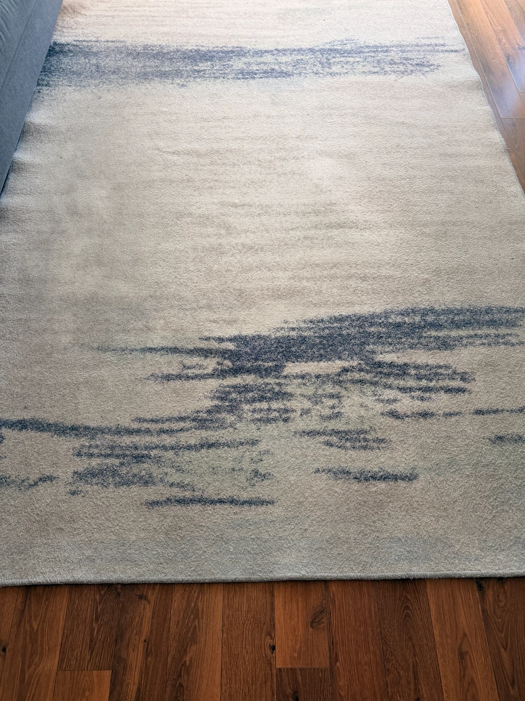 Area Rug - photo 3