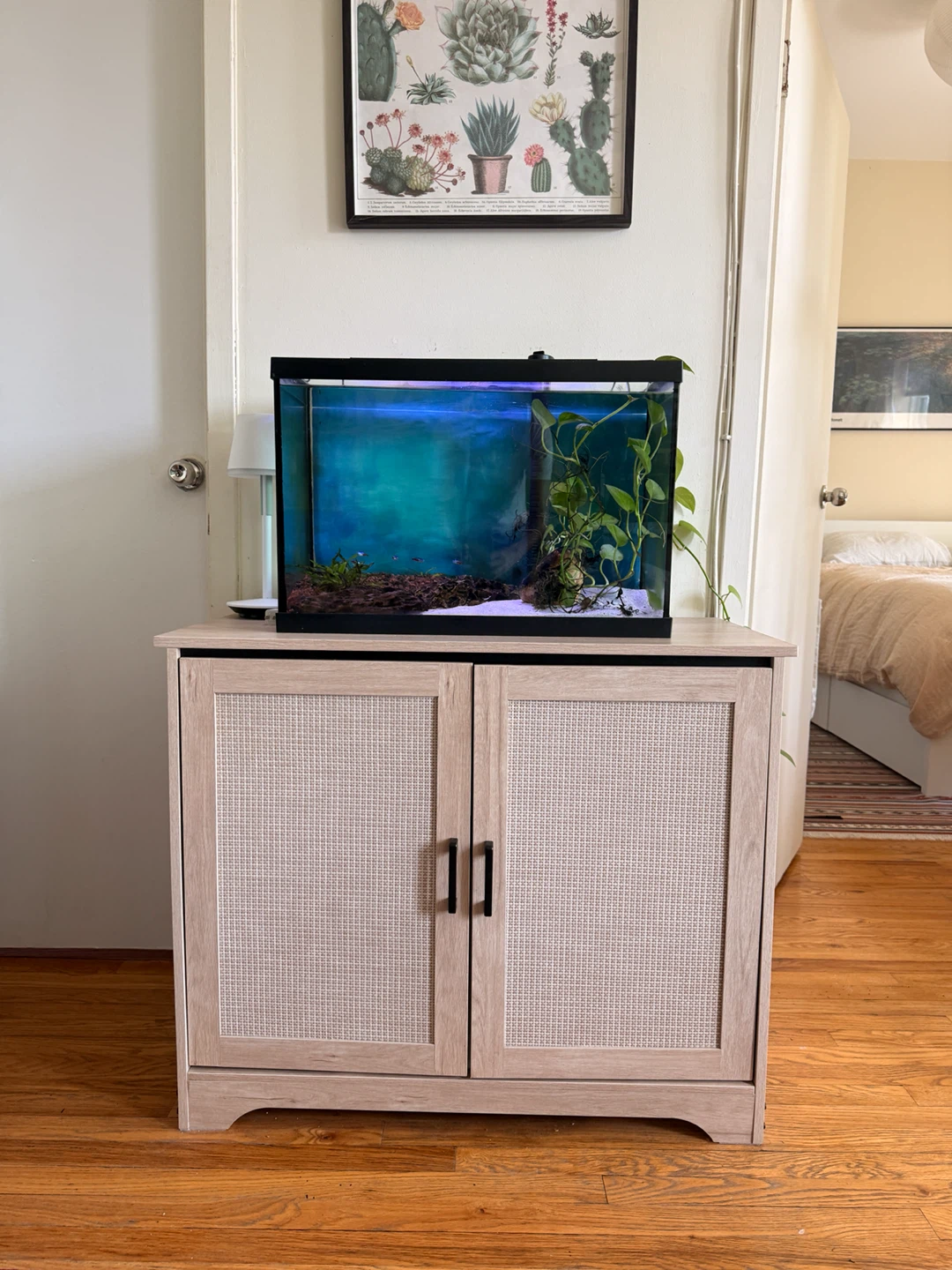 Aquarium with Cabinet Stand