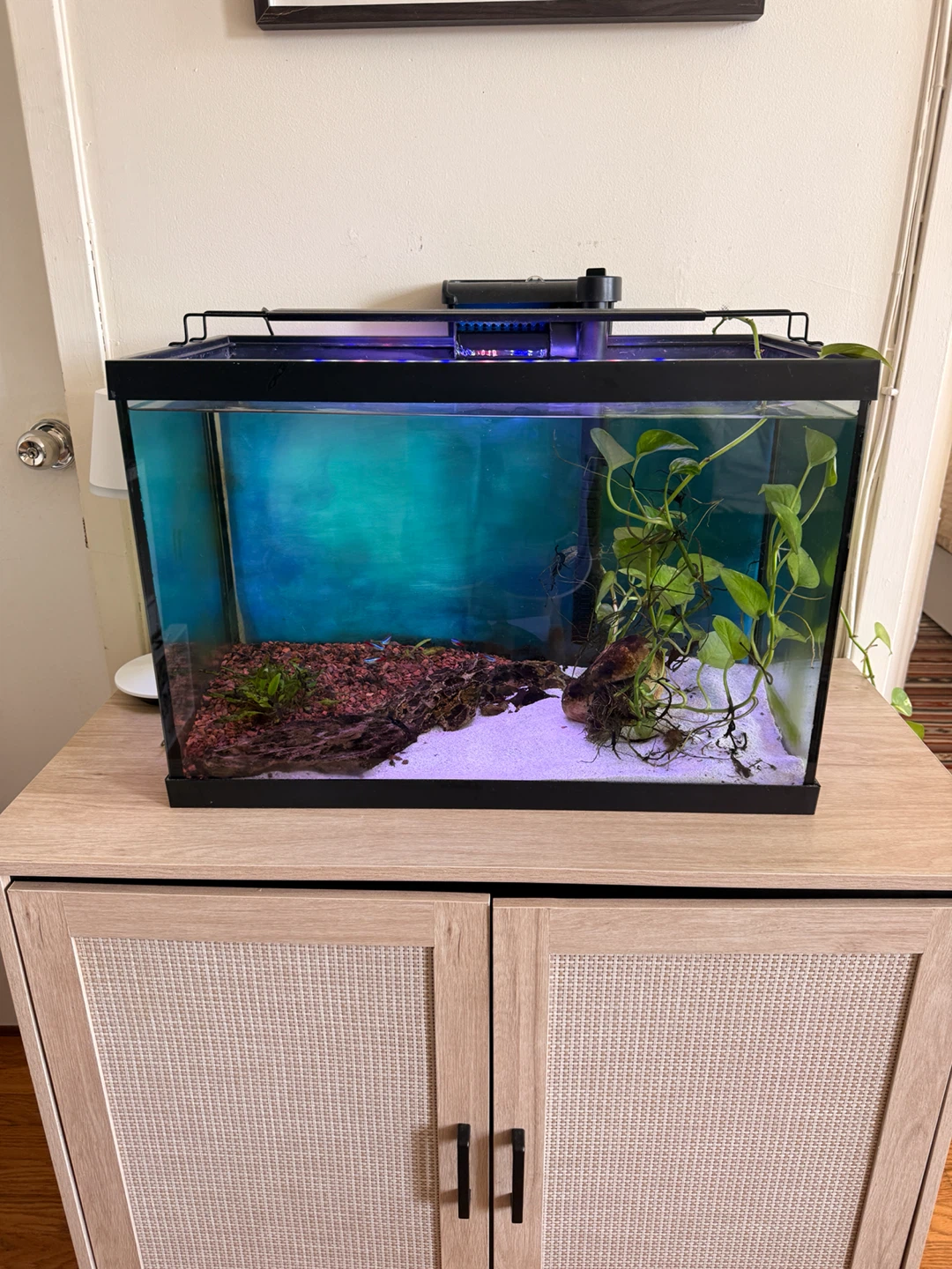 Aquarium with Cabinet Stand - photo 2