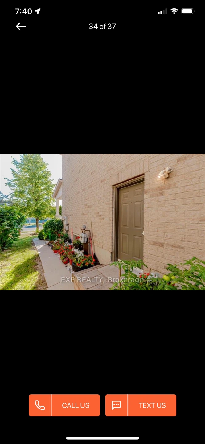 Basement apartment for rent
