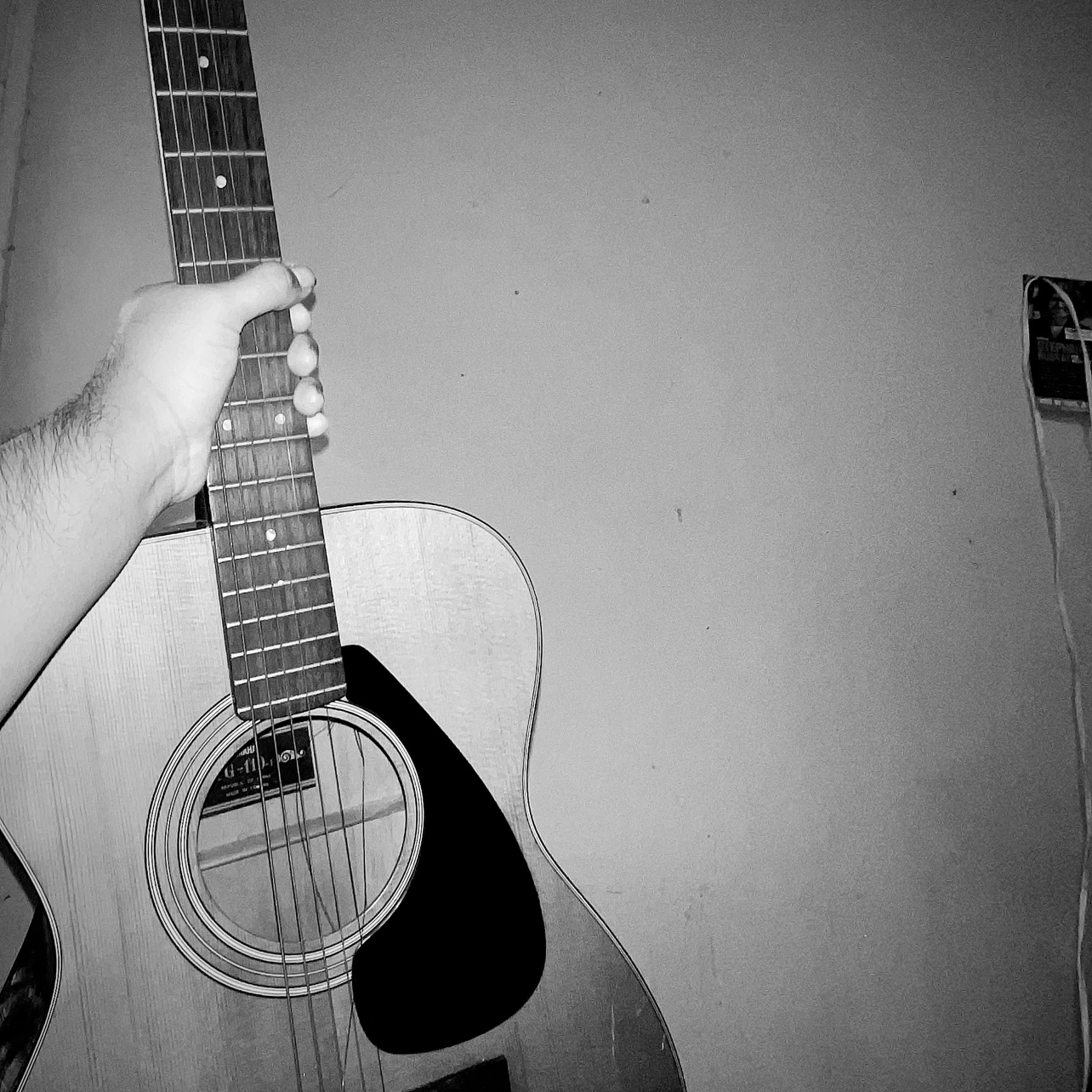 Yamaha FG-110 Acoustic Guitar