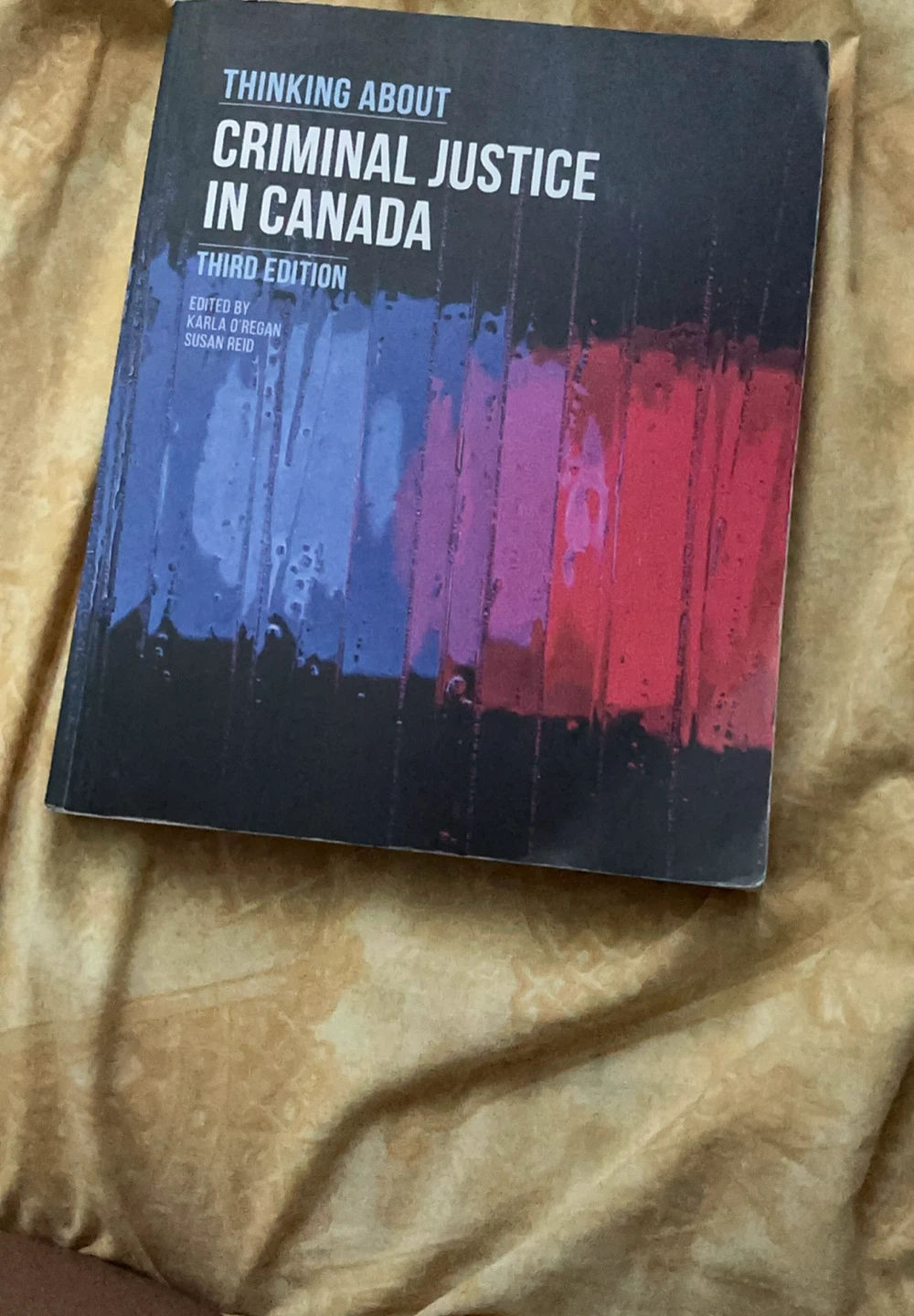 Thinking About Criminal Justice in Canada, Third Edition