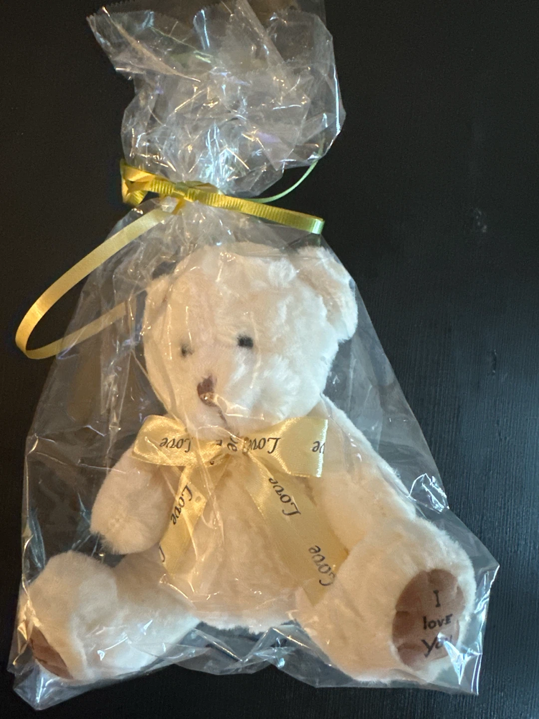 White Teddy Bear Gift Bag
