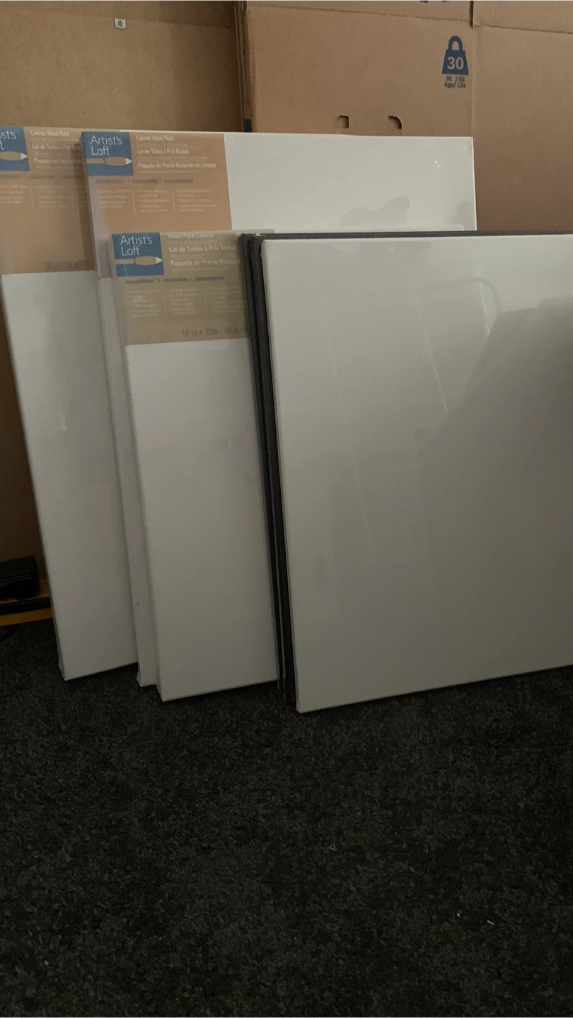 Unopened Canvas Value Packs - photo 2