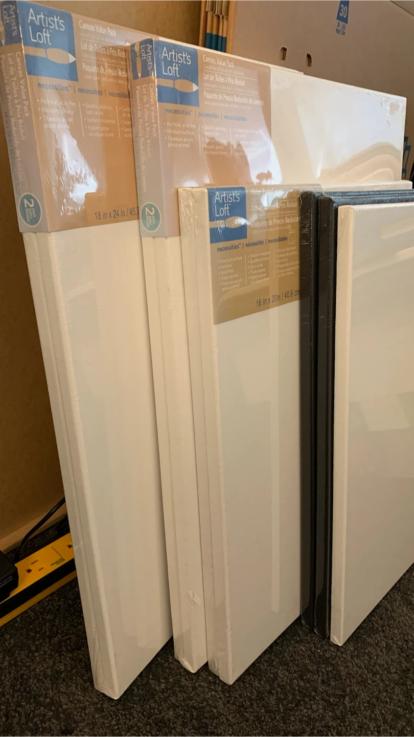 Unopened Canvas Value Packs - photo 4