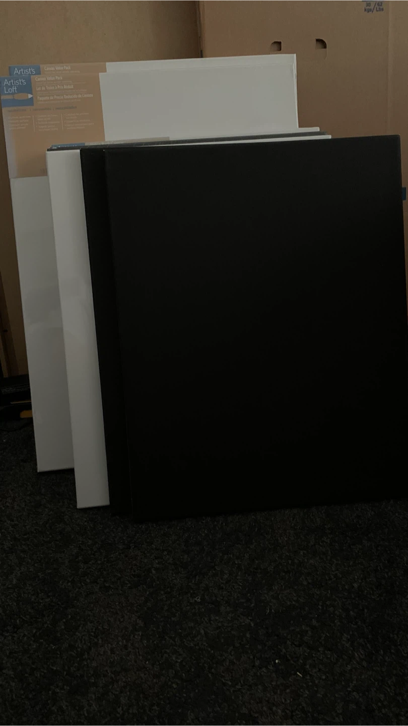 Unopened Canvas Value Packs - photo 5