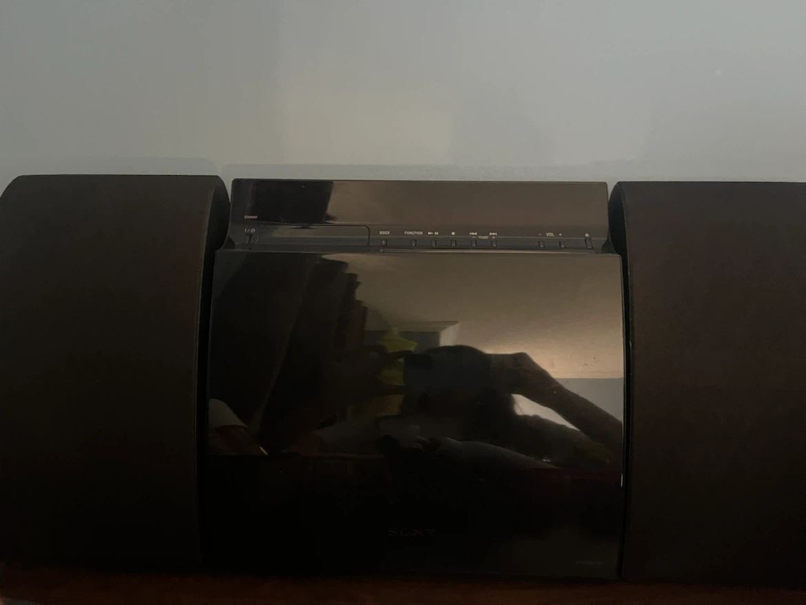 Sony Micro Hi-Fi Component System Speakers