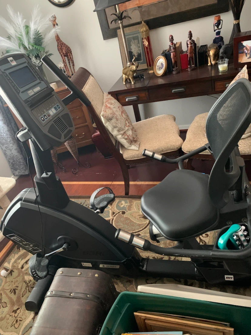 BH Fitness Recumbent Exercise Bike