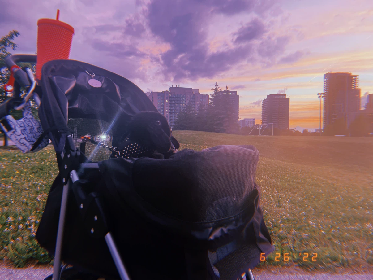 Pet Stroller - photo 5