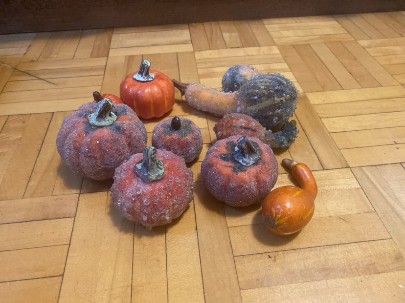 Decorative Gourds and Pumpkins