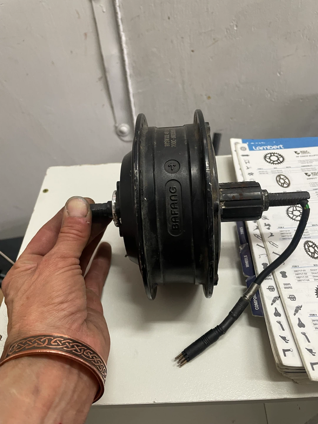 Bafang PPSWX02 48V E-bike Hub Motor