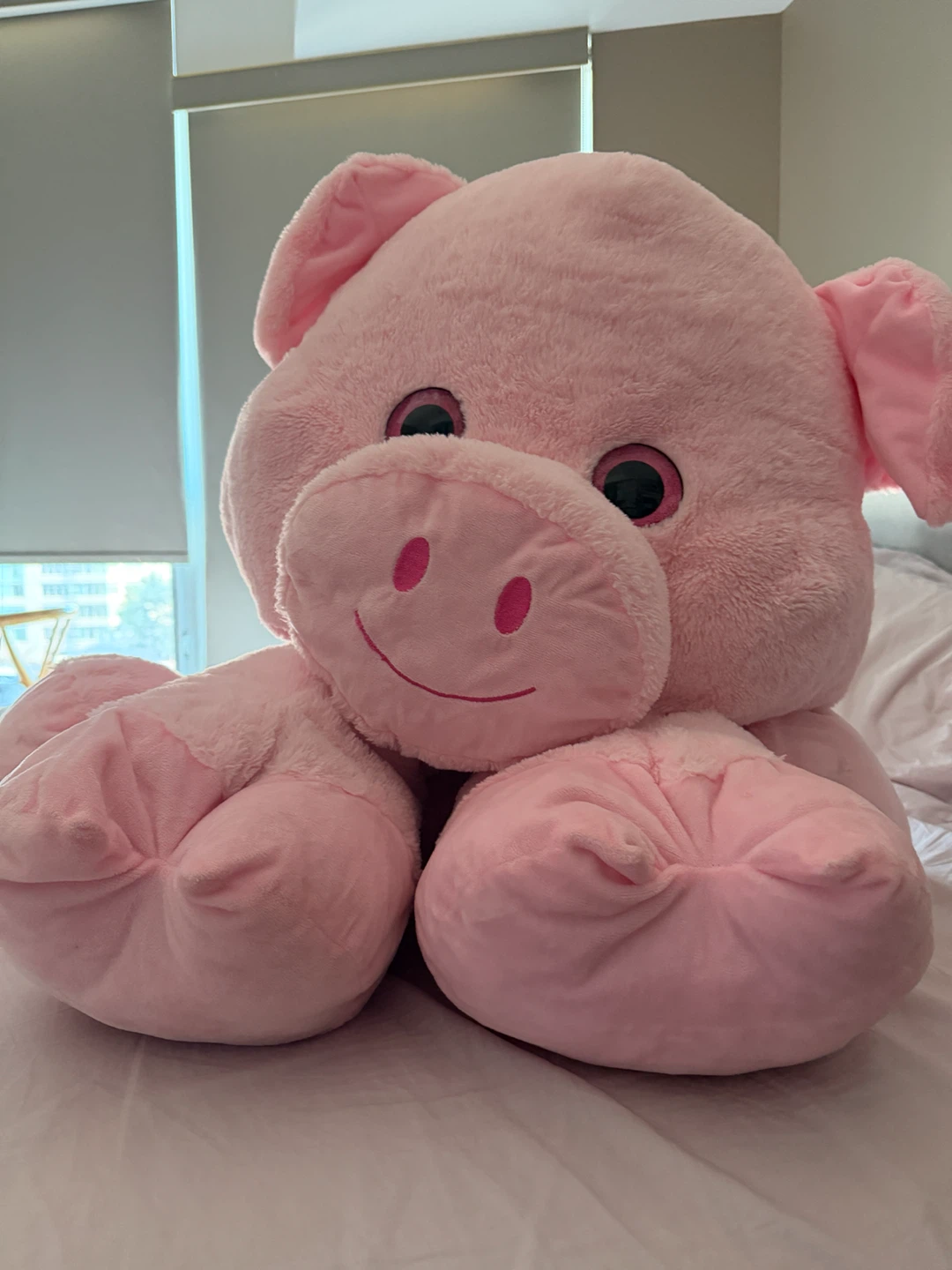 Big Pink Plush Pig