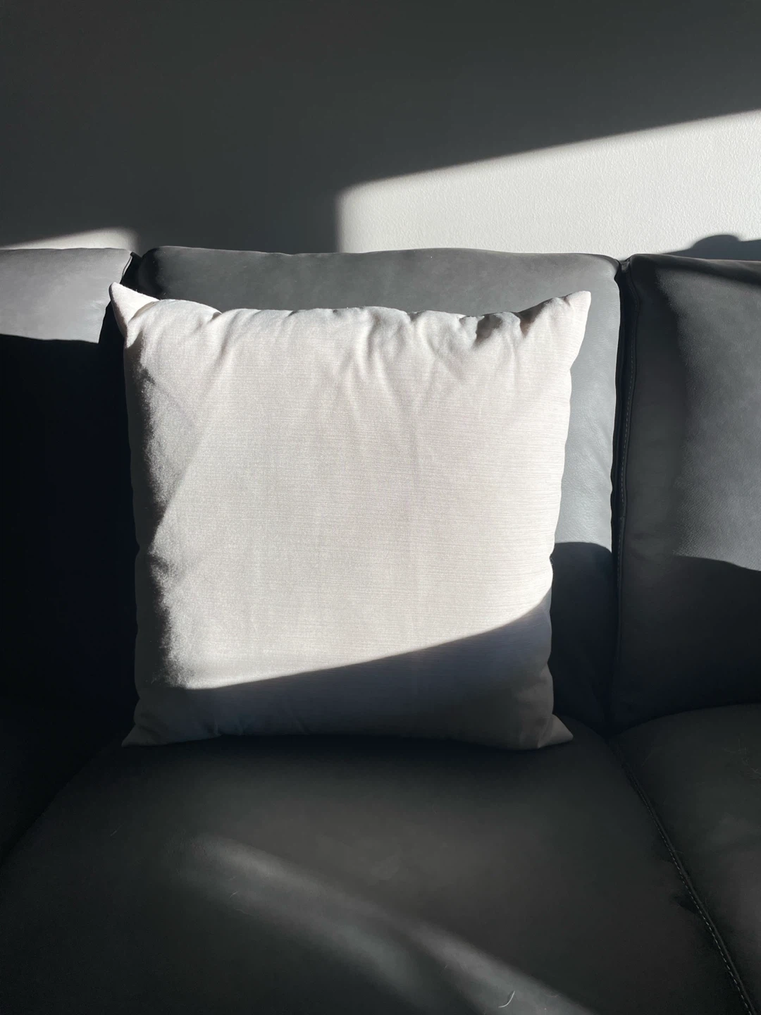 Light Gray Throw Pillow