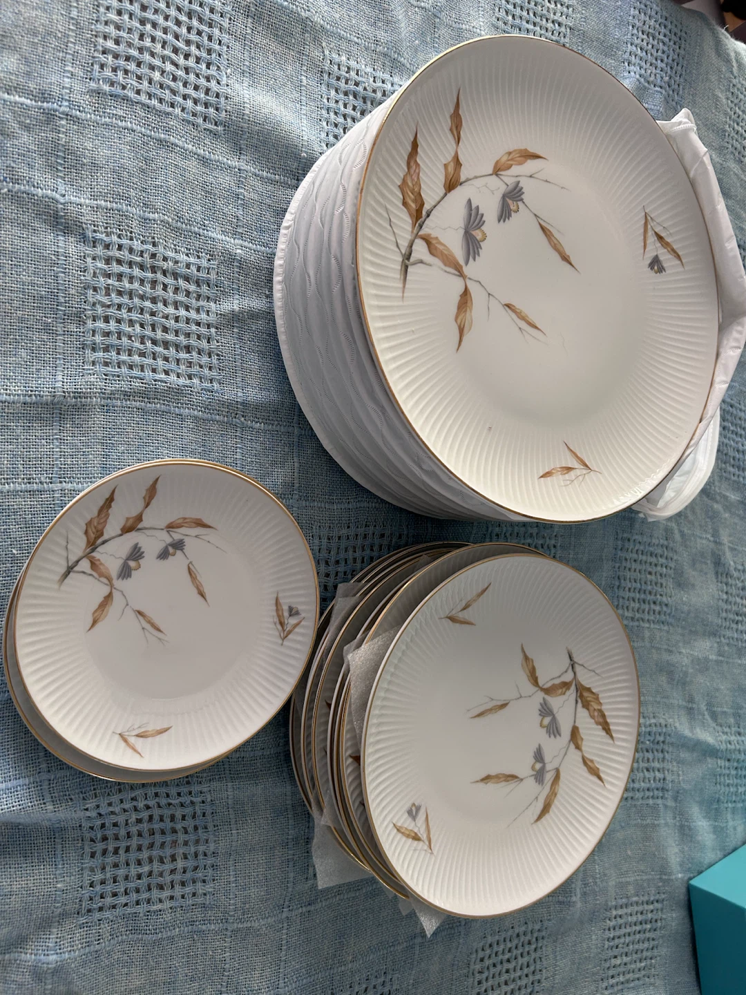 Thomas Germany Dinner Plates Set