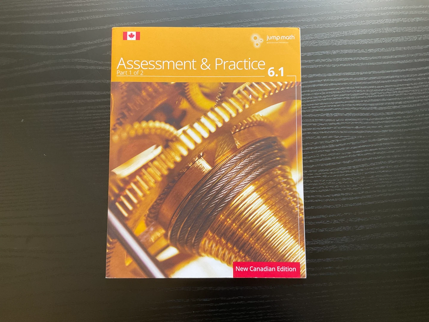 Jump Math Assessment & Practice Grade 6.1 & 6.2 Books