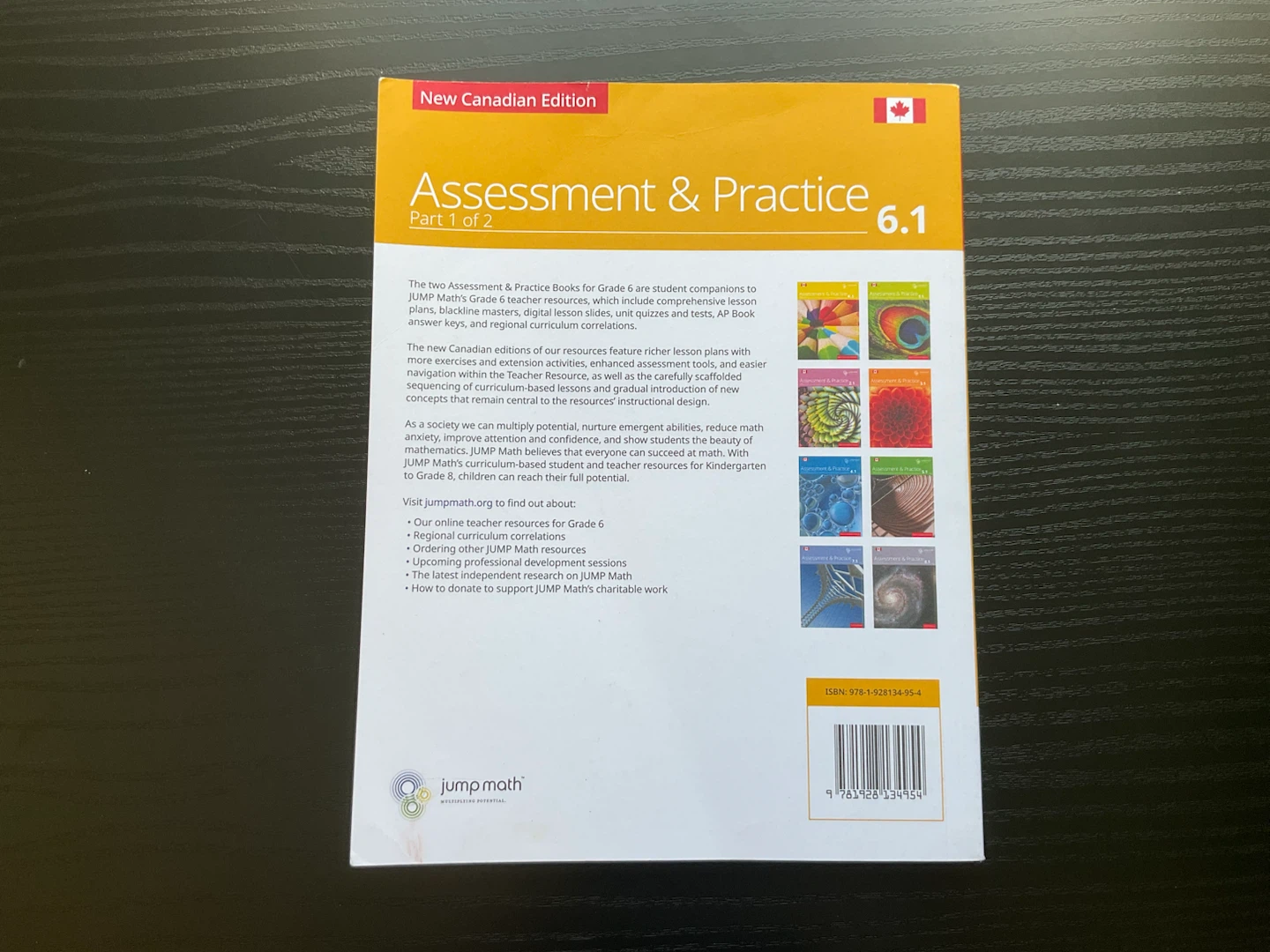 Jump Math Assessment & Practice Grade 6.1 & 6.2 Books - photo 2