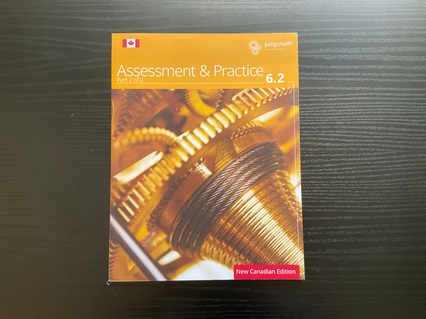 Jump Math Assessment & Practice Grade 6.1 & 6.2 Books - photo 3