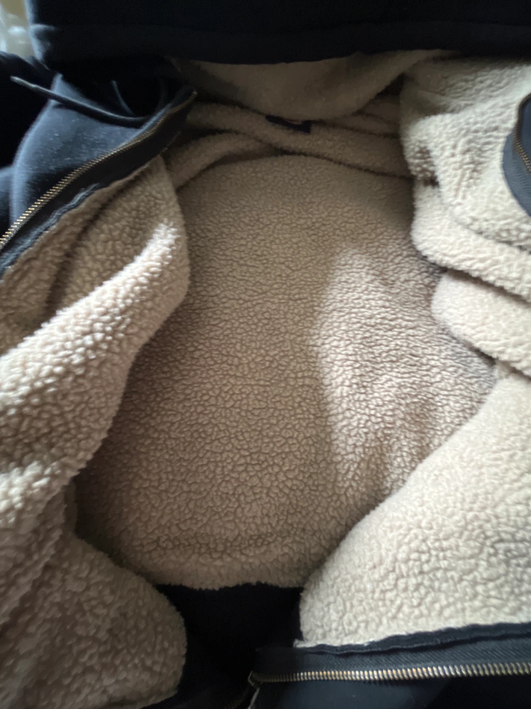 Dickies Sherpa Lined Zip-Up Hoodie - photo 2