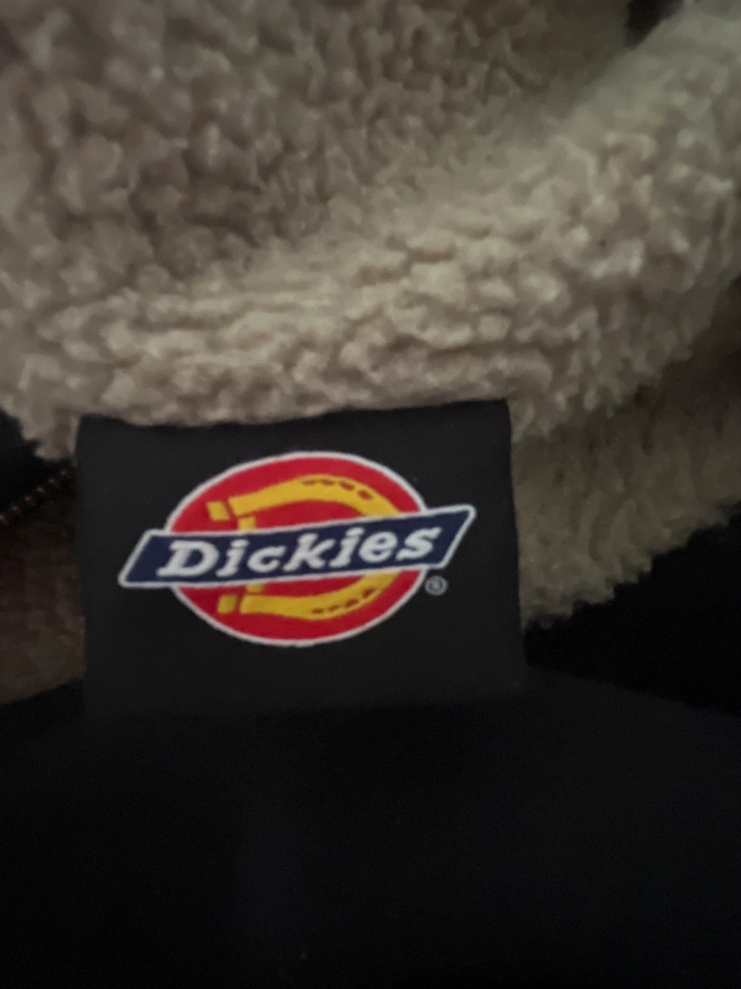 Dickies Sherpa Lined Zip-Up Hoodie - photo 4