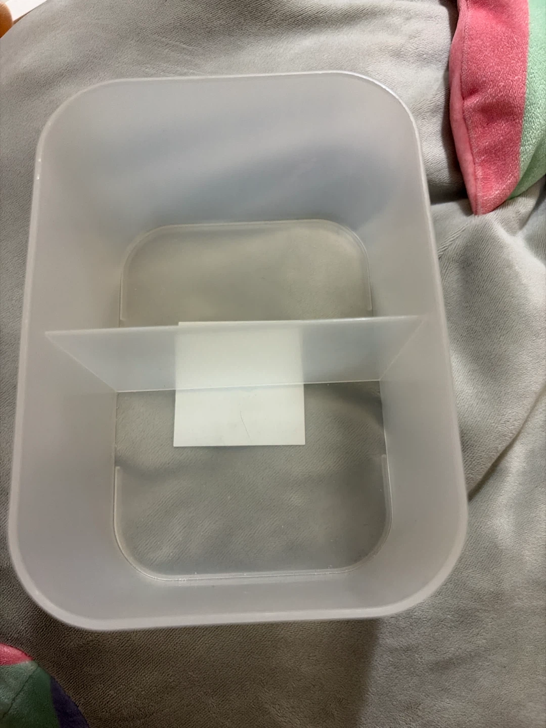 Clear Plastic Organizer Bin with Divider