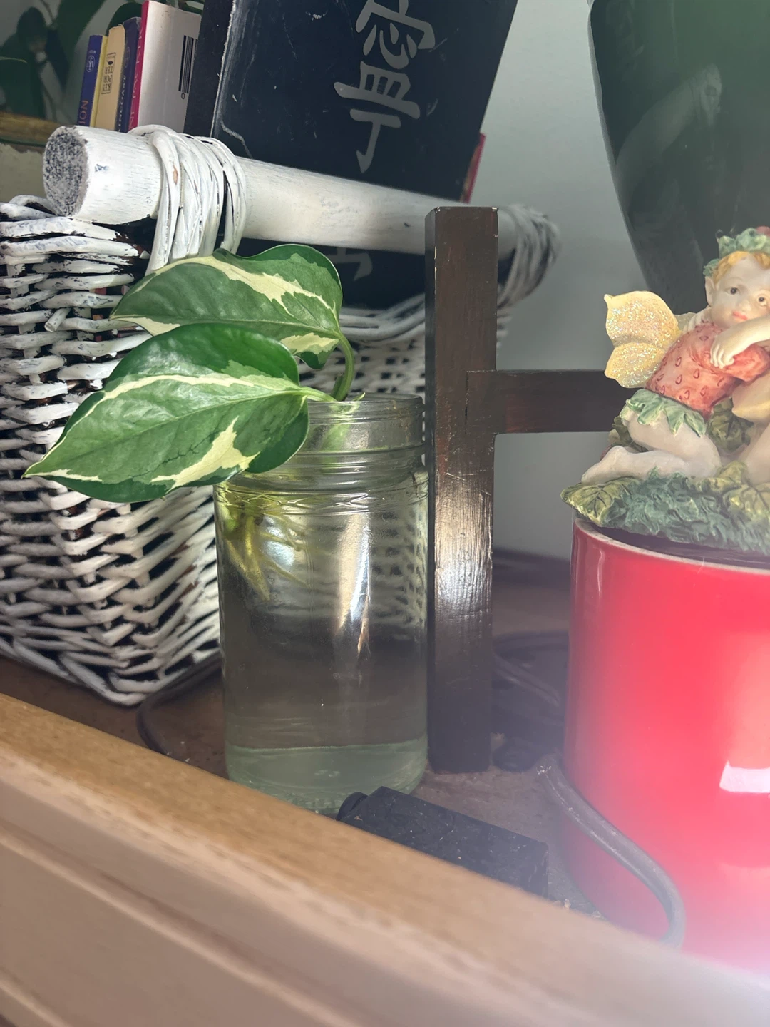 Pothos Cutting in Water - photo 3