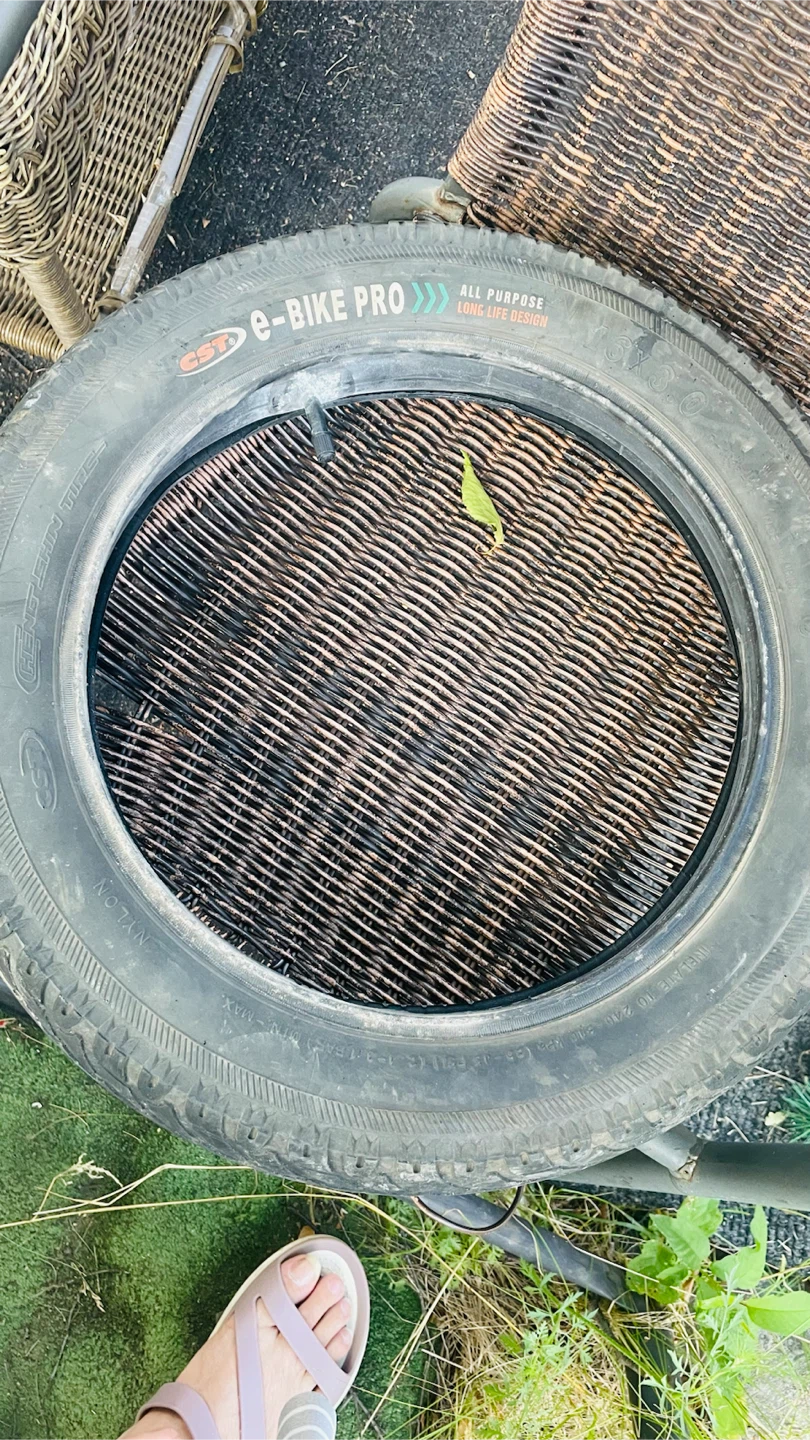 CST e-Bike Pro Tire 16x3.0