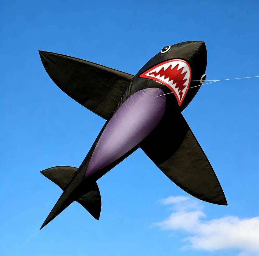 Kite - Flying Shark - photo 3