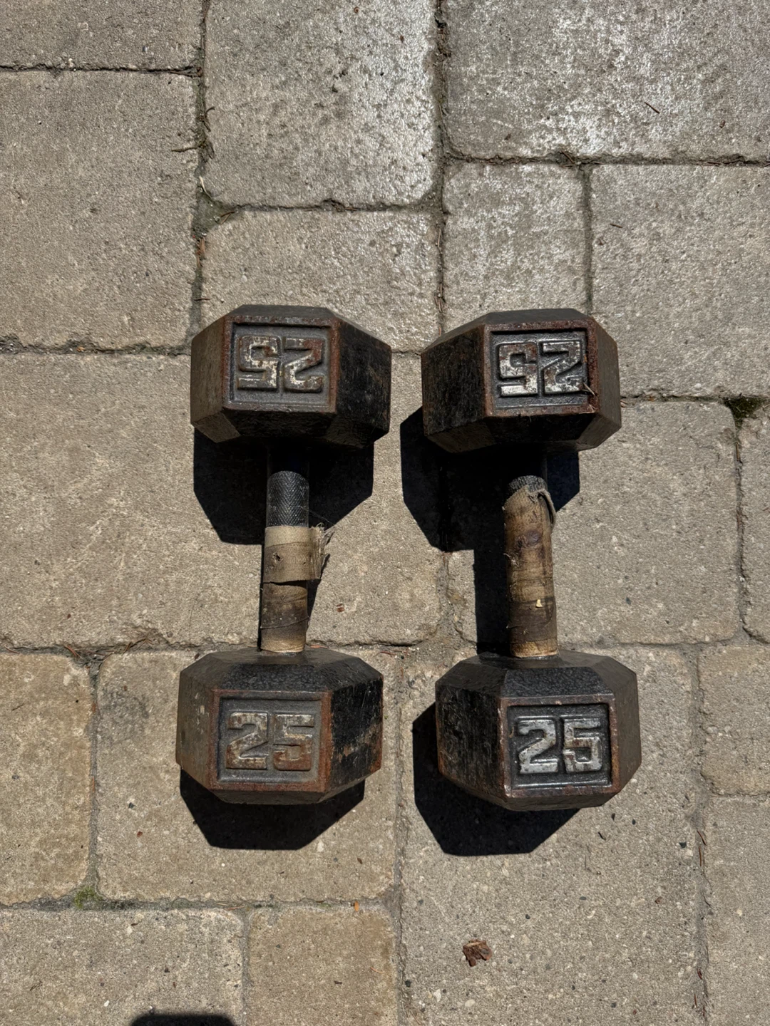 25 lb Dumbbells (Pair)