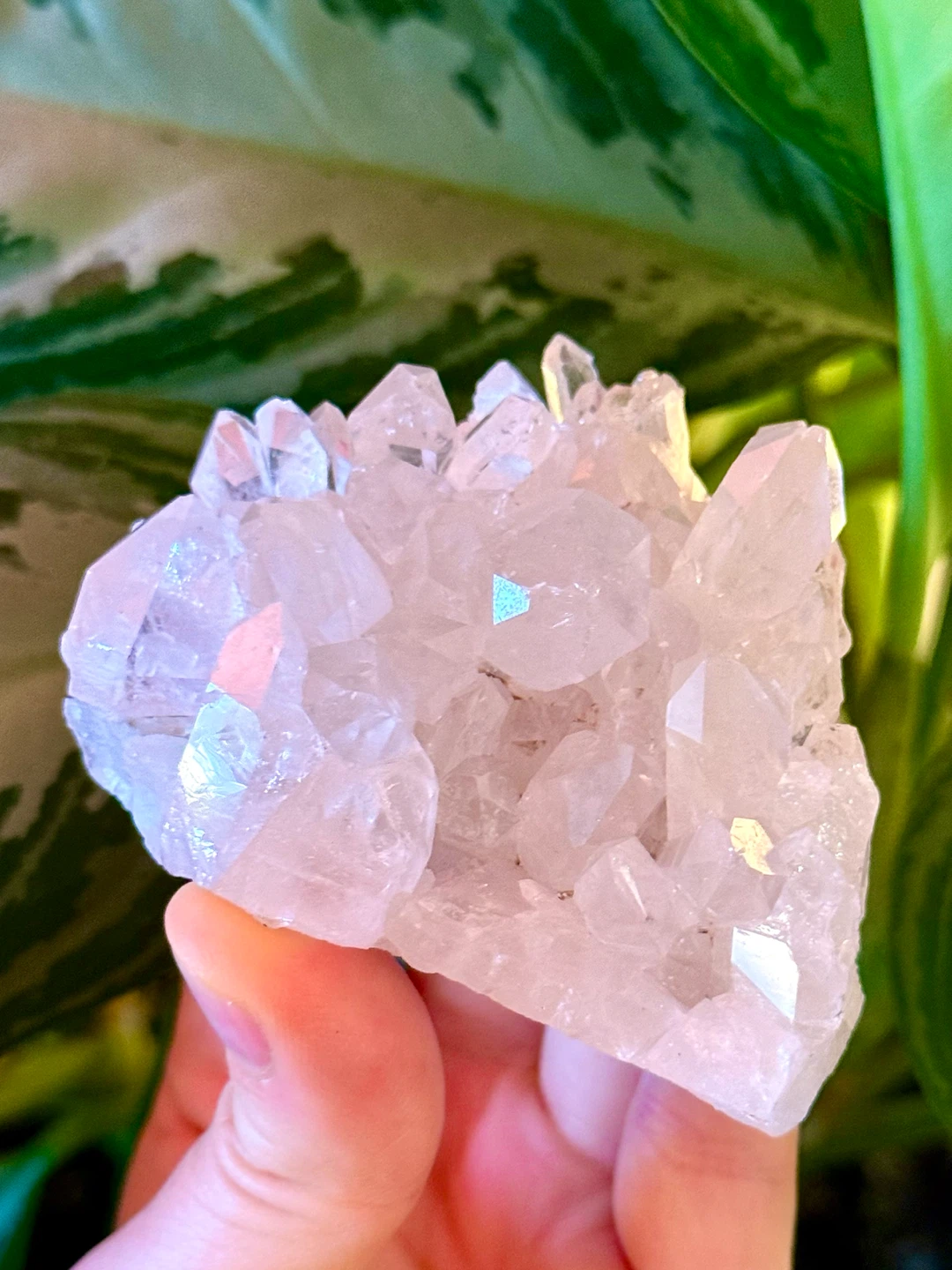 Brazilian Quartz Crystal Cluster With Terminated Points