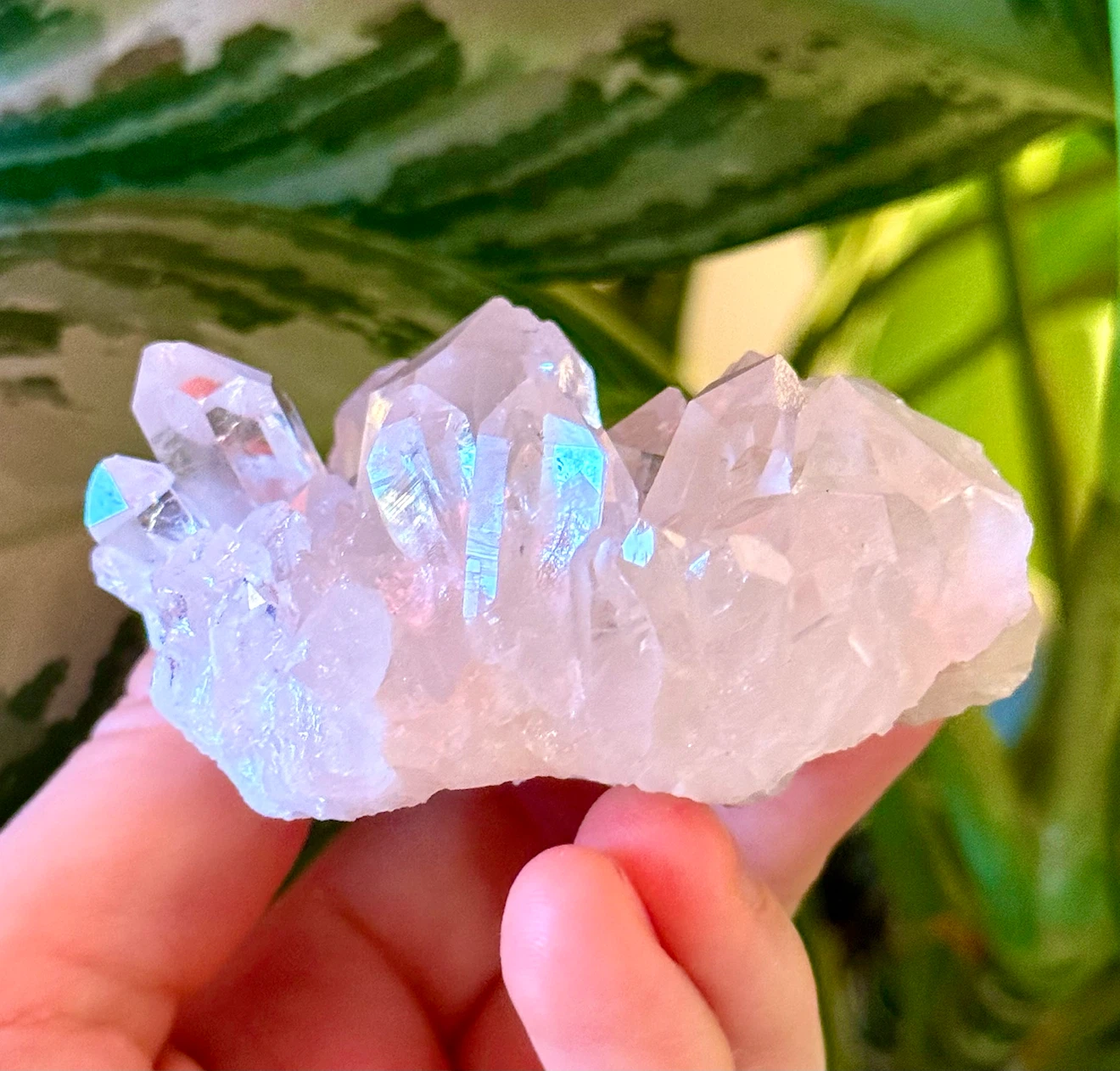 Brazilian Quartz Crystal Cluster With Terminated Points - photo 3