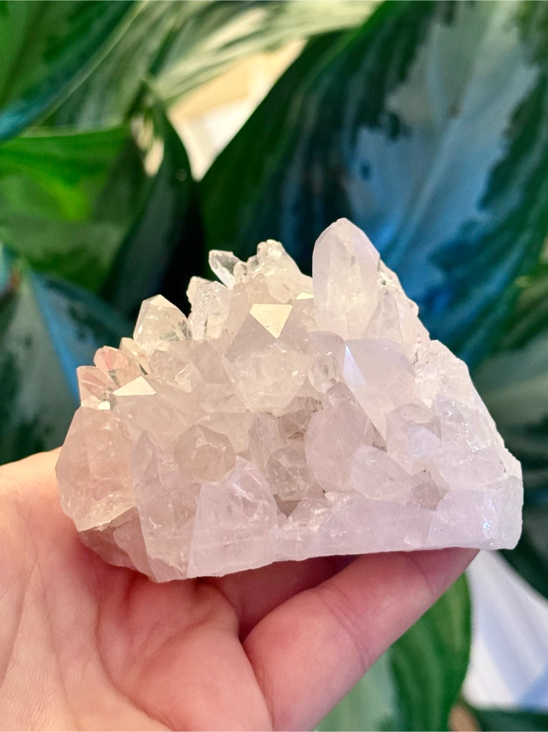 Brazilian Quartz Crystal Cluster With Terminated Points - photo 5