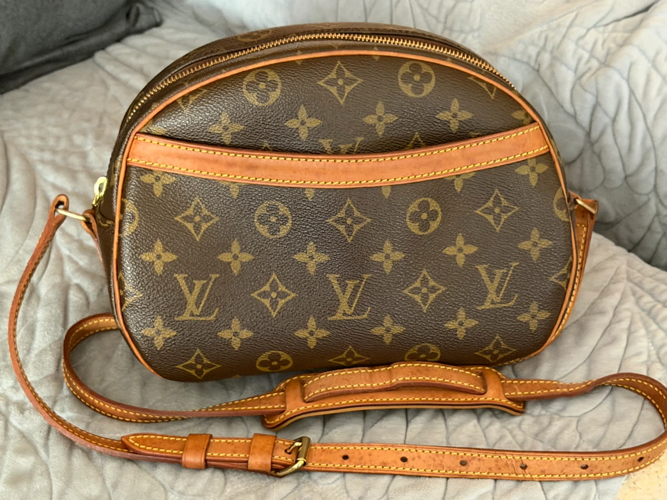 Louis Vuitton Blois