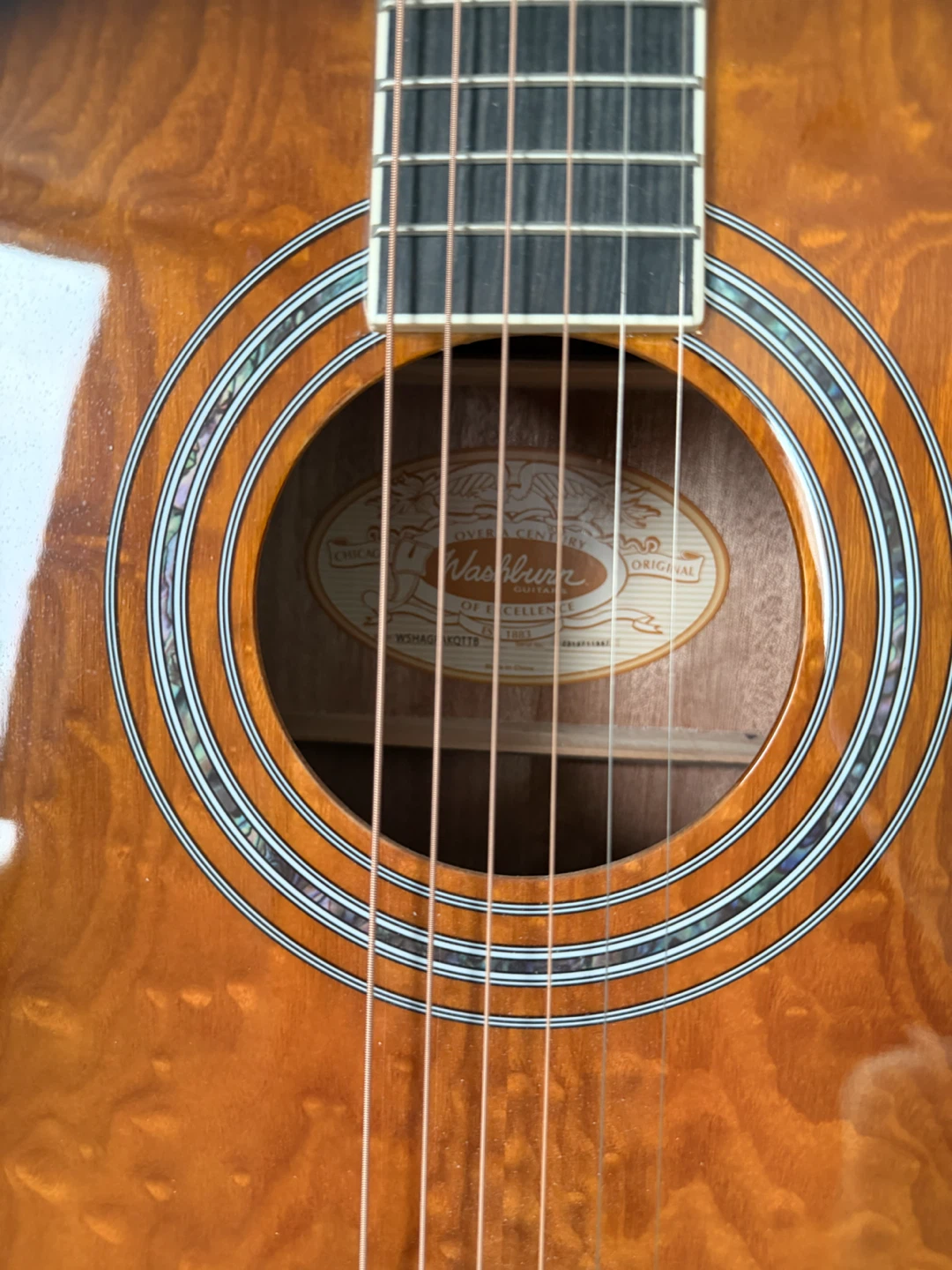 Washburn Acoustic Guitar - photo 3