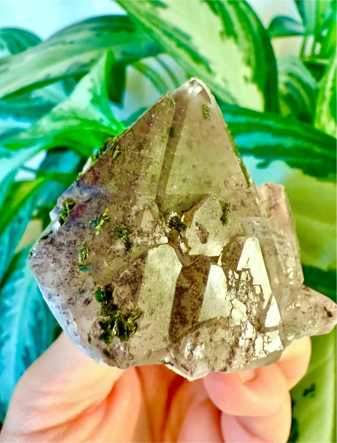 Garden Green Phantom Quartz Crystal Cluster