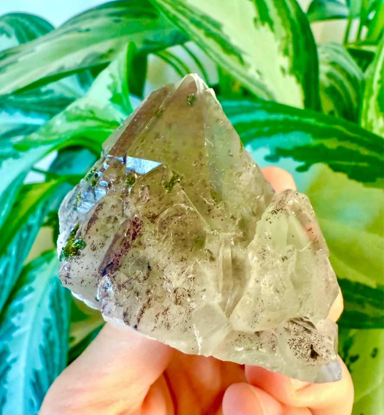 Garden Green Phantom Quartz Crystal Cluster - photo 3