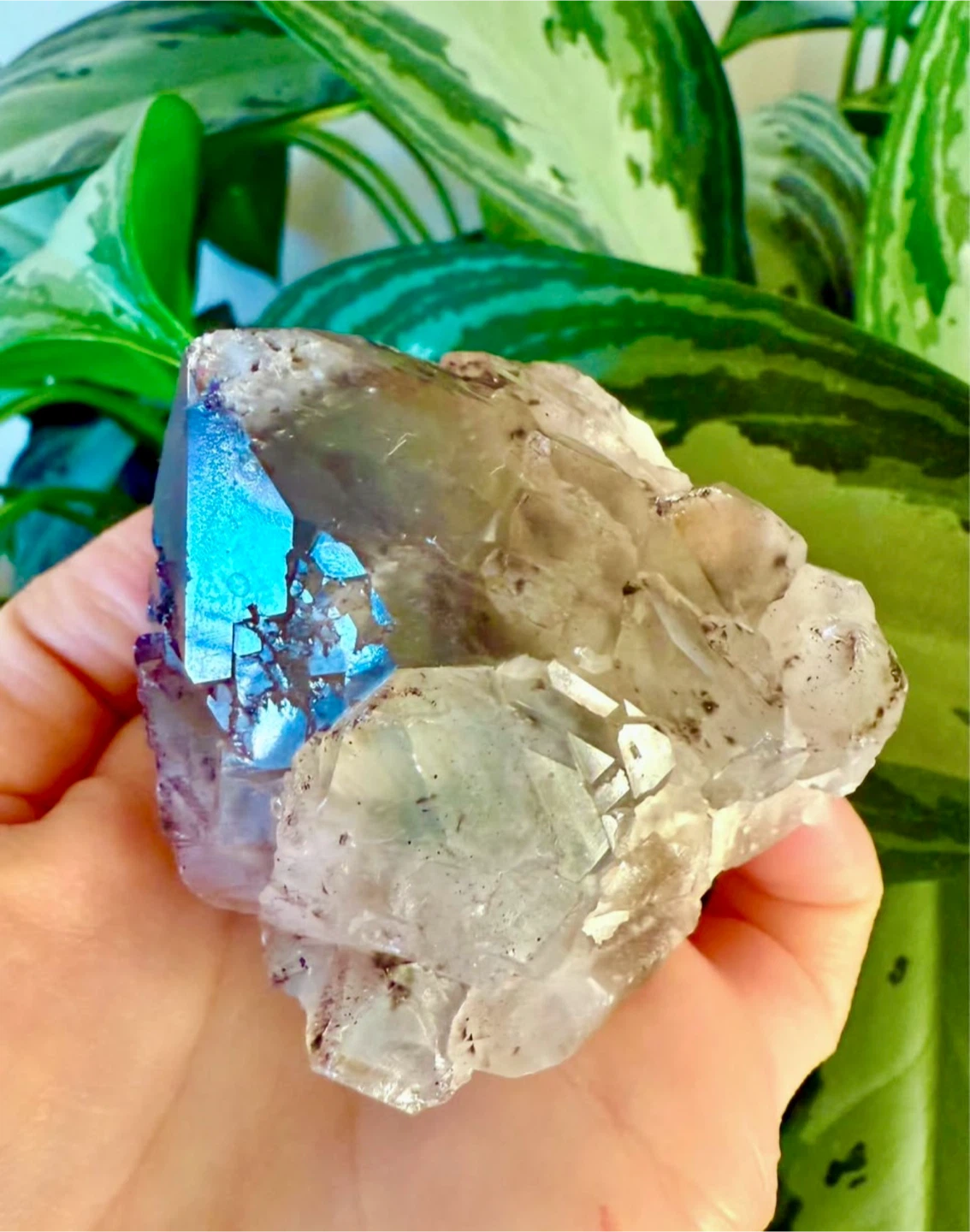 Garden Green Phantom Quartz Crystal Cluster - photo 4