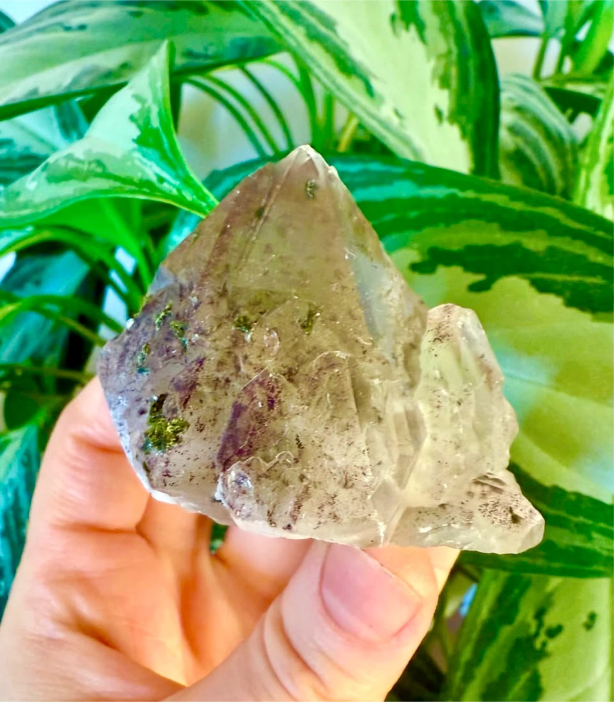 Garden Green Phantom Quartz Crystal Cluster - photo 5