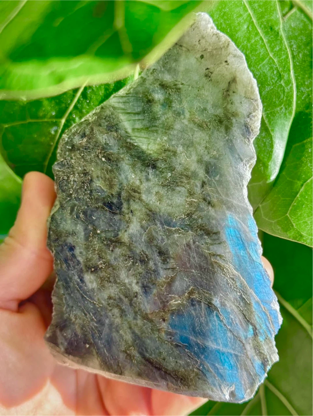 Half Polished Labradorite Crystal Chunk From Madagascar