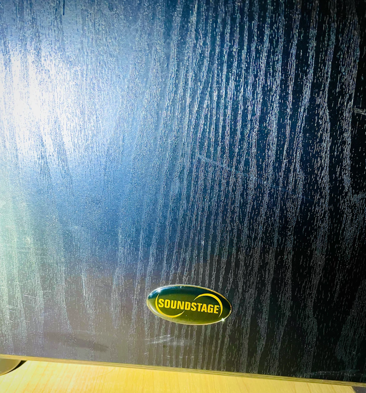 Soundstage Stage 100 Subwoofer - photo 2