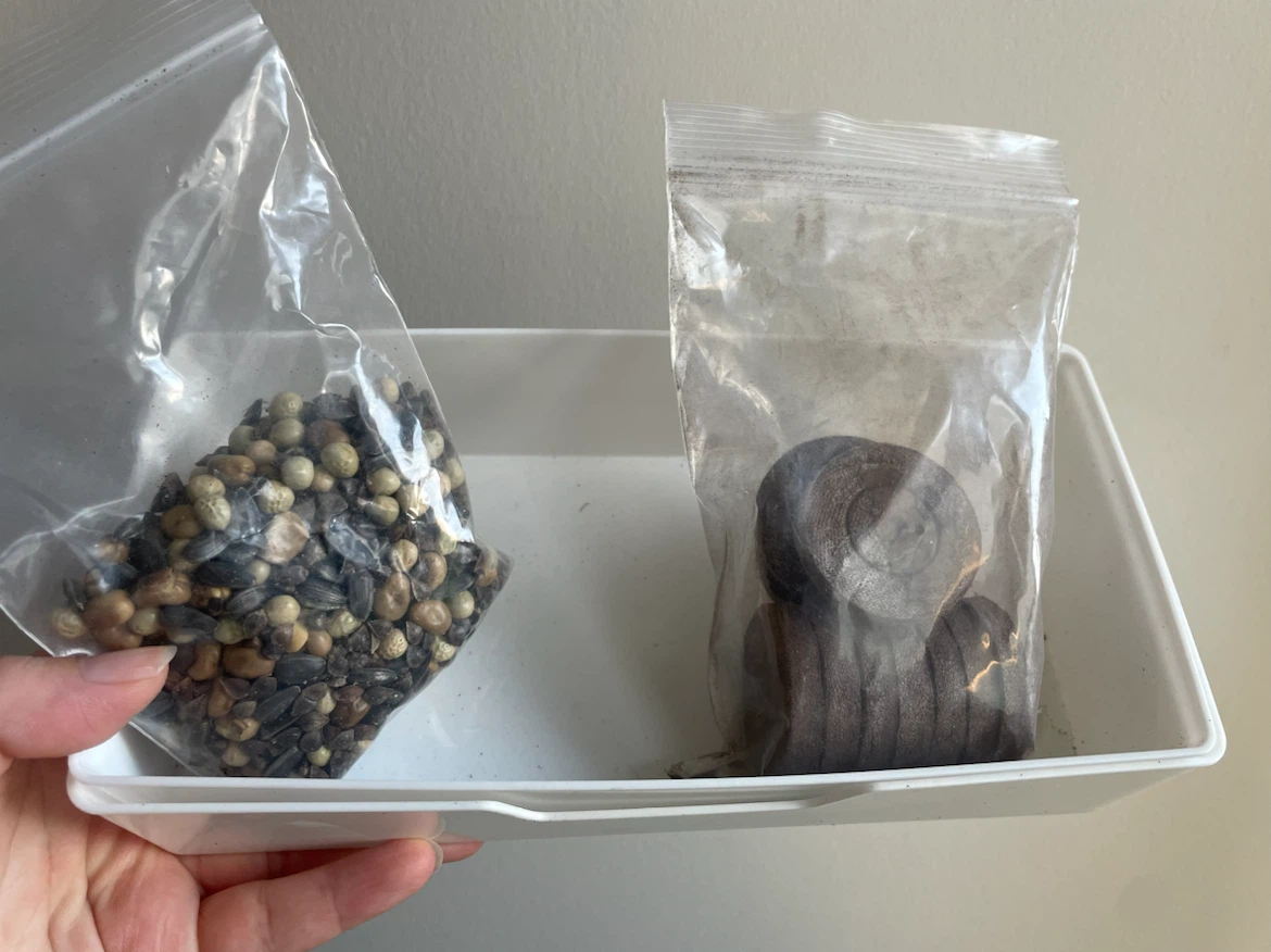 Microgreens growing kit